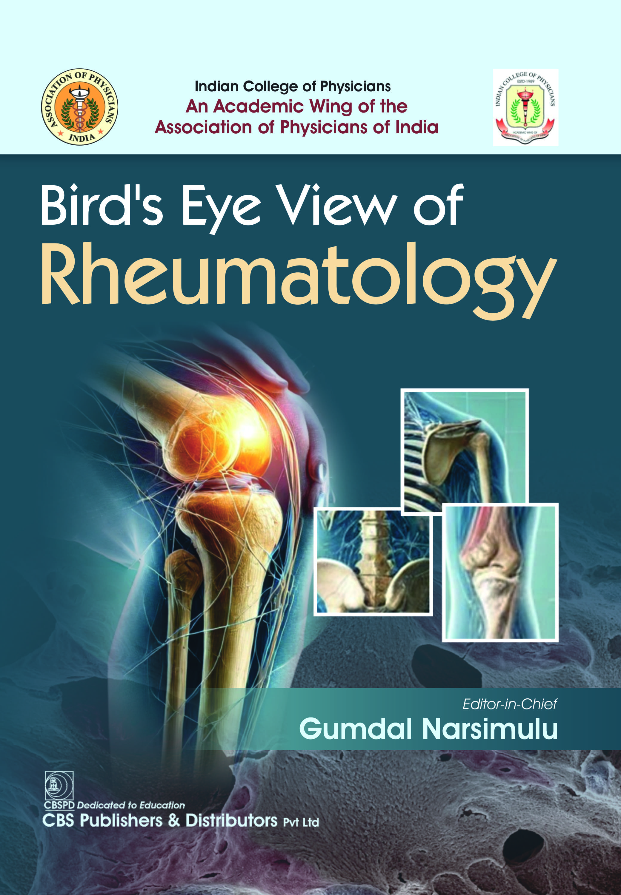 Bird's eye view of rheumatology